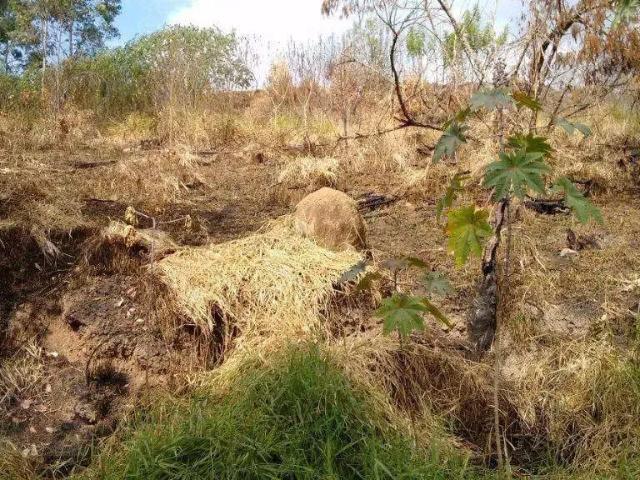 Terreno venda em Região Imediata de São Paulo, Região Metropolitana de São Paulo