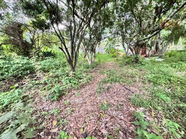 Terreno venda em Jardim Santa Branca, Mairiporã