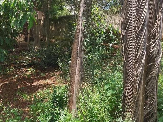 Terreno venda em Mairiporã, Terra Preta
