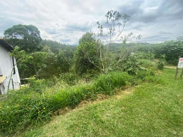 Terreno venda em Parque Campos Verdes, Mairiporã