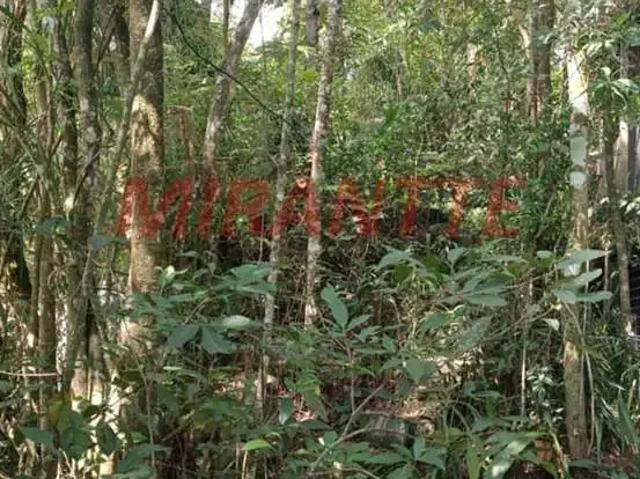 Terreno venda em Jardim da Serra, Mairiporã