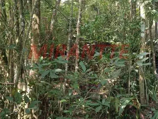 Terreno venda em Jardim da Serra, Mairiporã