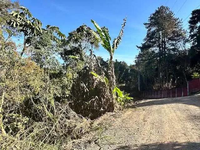 Terreno venda em Região Imediata de Franca, Juranda