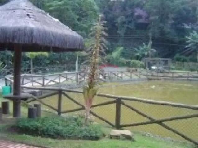 Terreno venda em Região Imediata de Araraquara, Araraquara