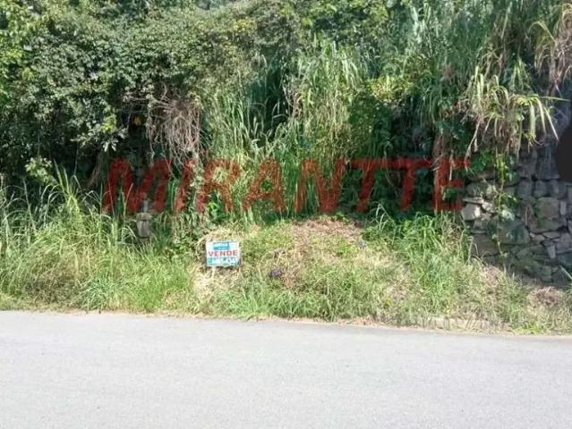 Terreno venda em Região Imediata de Araraquara, Araraquara
