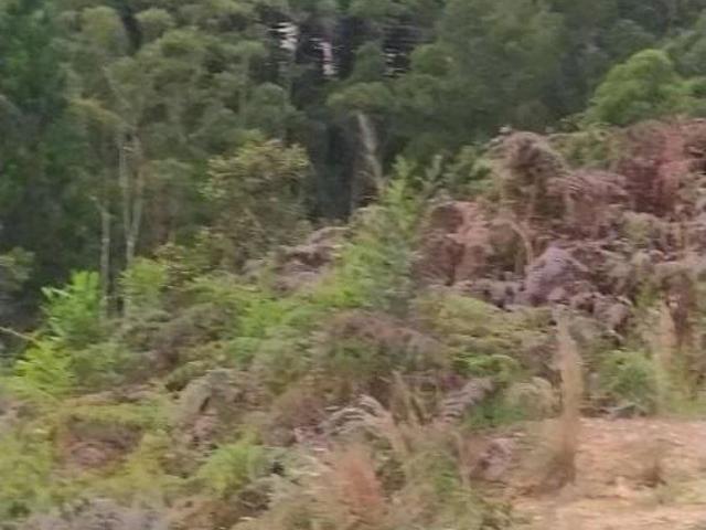 Terreno venda em Mairiporã, Região Geográfica Intermediária de São Paulo