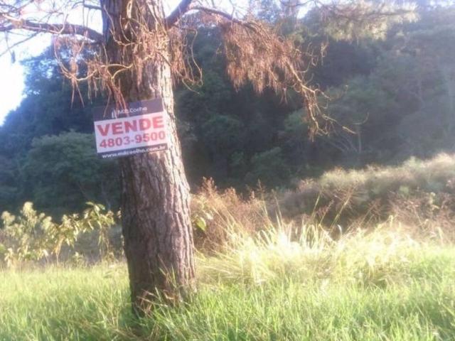 Terreno venda em Jardim Sandra II, Mairiporã