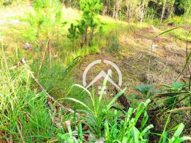 Terreno venda em Mairiporã