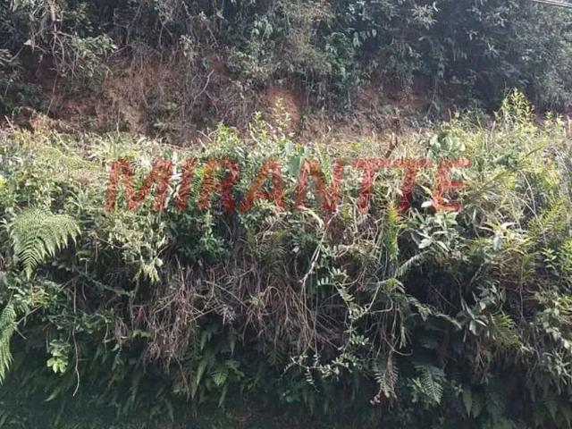 Terreno venda em Parque Campos Verdes, Mairiporã