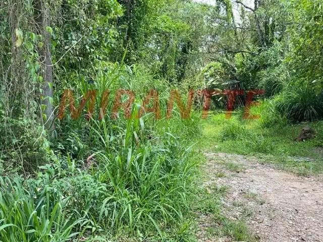 Terreno venda em Parque Friburgo, Mairiporã