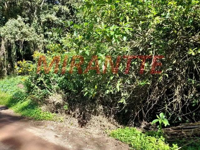 Terreno venda em Parque Friburgo, Mairiporã