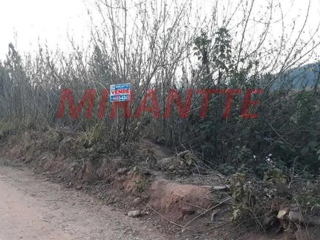 Terreno venda em Parque Friburgo, Mairiporã