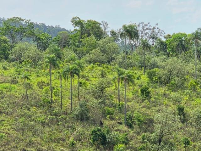 Terreno venda em Jardim Galrão, Mairiporã