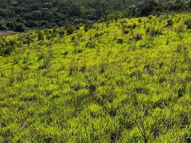 Terreno venda em Jardim Galrão, Mairiporã