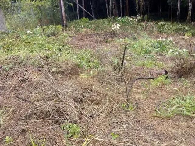 Terreno venda em Região Imediata de São Paulo, Região Metropolitana de São Paulo