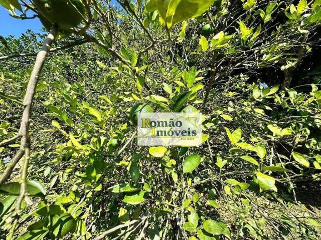 Terreno venda em Jardim das Flores, Mairiporã