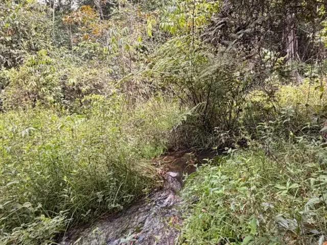 Terreno venda em Região Geográfica Imediata de Manaus, Itamarati