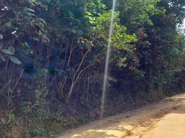Terreno venda em Região Geográfica Imediata de Manaus, Itamarati