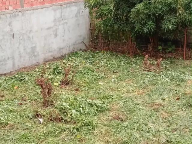 Terreno venda em Região Geográfica Imediata de Manaus, Itamarati