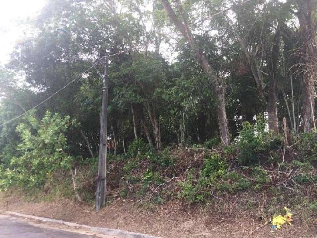 Terreno venda em Região Geográfica Imediata de Manaus, Itamarati