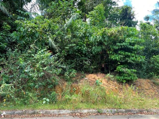 Terreno venda em Manaus
