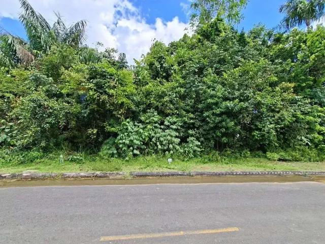Terreno venda em Região Geográfica Imediata de Manaus, Itamarati