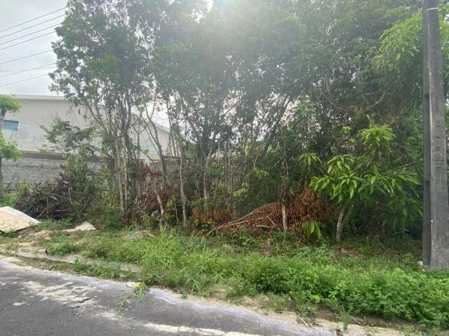 Terreno venda em Região Geográfica Imediata de Manaus, Itamarati