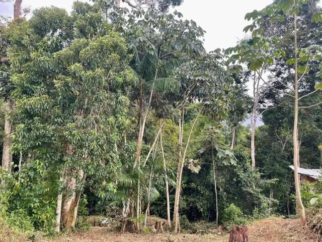 Terreno venda em Região Geográfica Imediata de Manaus, Itamarati