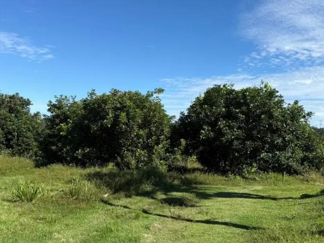 Terreno venda em Região Geográfica Imediata de Manaus, Itamarati