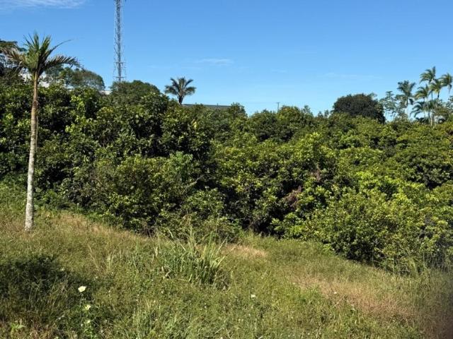 Terreno venda em Região Geográfica Imediata de Manaus, Itamarati