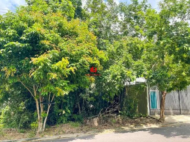Terreno venda em Região Geográfica Imediata de Manaus, Itamarati