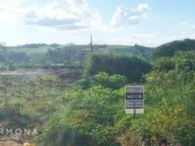 Terreno venda em Região Geográfica Imediata de Maringá, Mandaguaçu