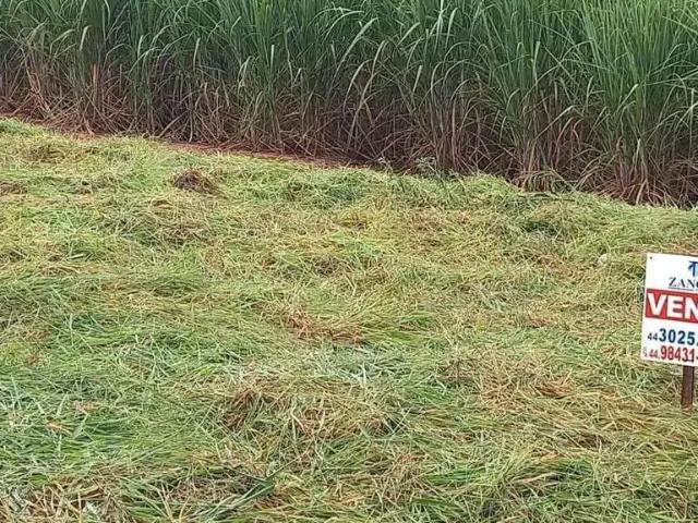 Terreno venda em Região Geográfica Imediata de Maringá, Mandaguaçu