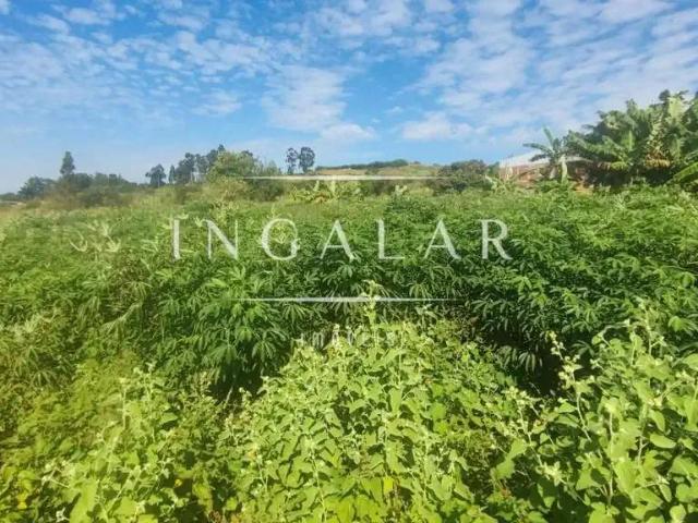 Terreno venda em Região Geográfica Imediata de Maringá, Mandaguaçu