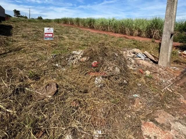 Terreno venda em Região Geográfica Imediata de Maringá, Mandaguaçu