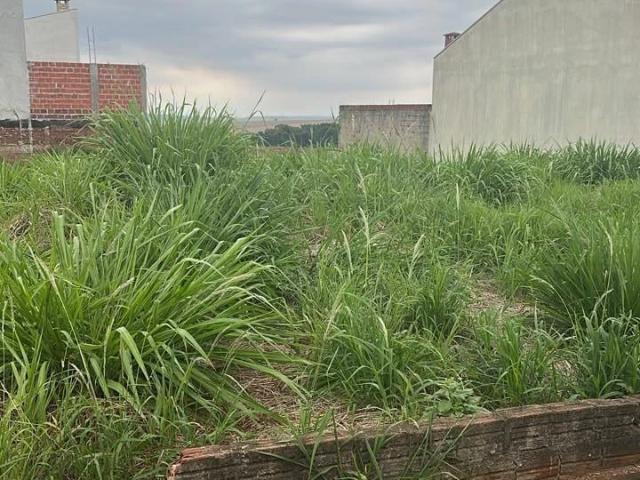 Terreno venda em Mandaguaçu, Região Geográfica Intermediária de Maringá
