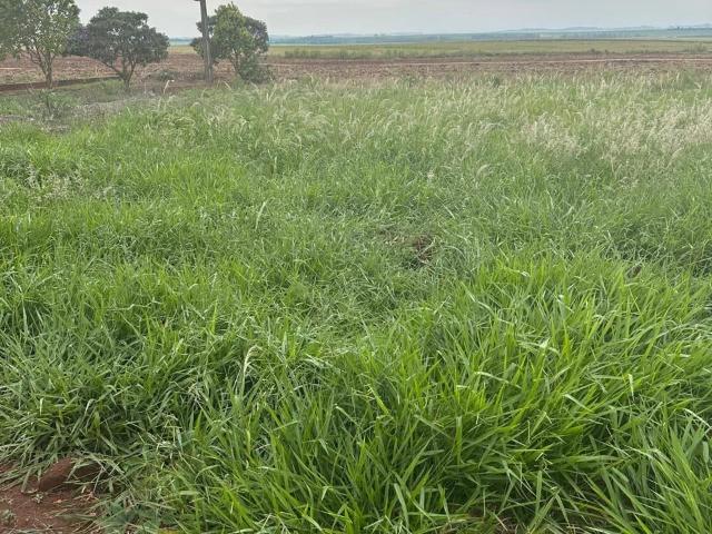 Terreno venda em Mandaguaçu, Região Geográfica Intermediária de Maringá