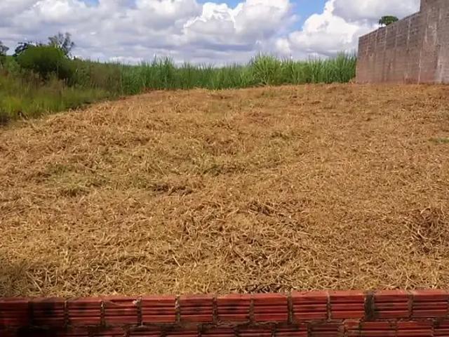 Terreno venda em Região Geográfica Imediata de Maringá, Mandaguaçu