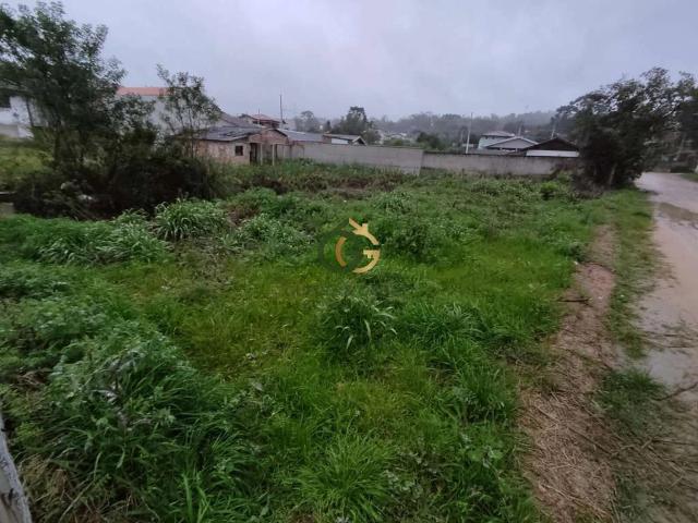 Terreno venda em Areia Branca dos Assis, Mandirituba
