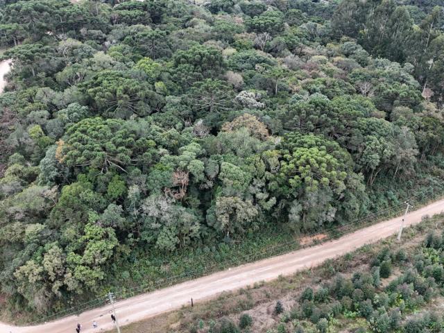 Terreno venda em Areia Branca dos Assis, Mandirituba