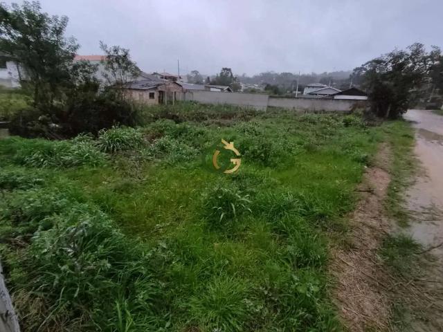 Terreno venda em Região Geográfica Imediata de Curitiba, Região Metropolitana de Curitiba