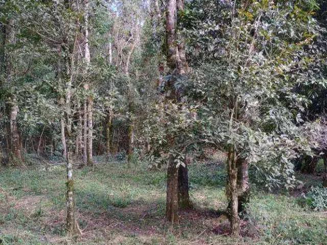 Terreno venda em Região Geográfica Imediata de Curitiba, Região Metropolitana de Curitiba