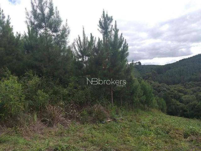 Terreno venda em Região Geográfica Imediata de Curitiba, Região Metropolitana de Curitiba