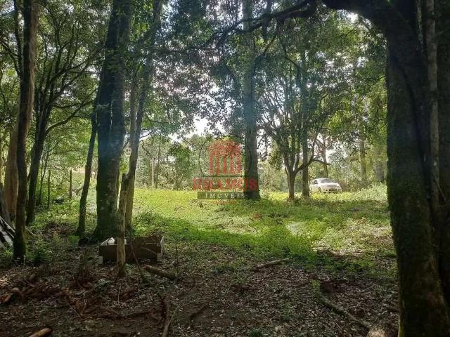 Terreno venda em Região Geográfica Imediata de Curitiba, Região Metropolitana de Curitiba