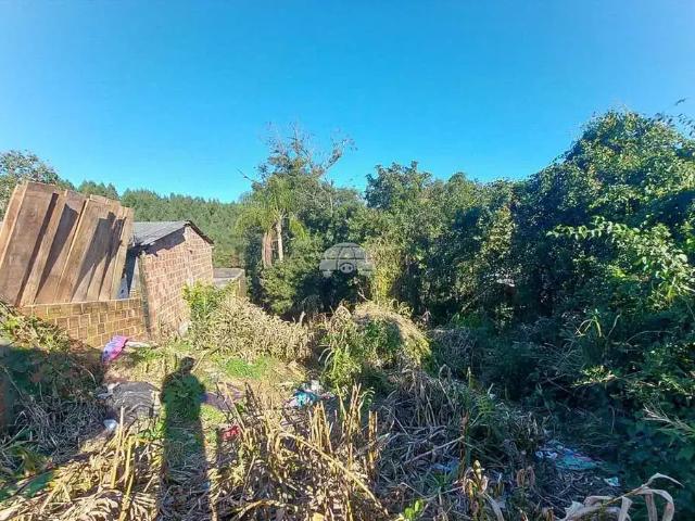 Terreno venda em Vila Brasília, Mandirituba
