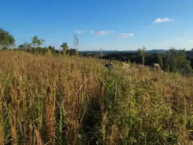 Terreno venda em Região Geográfica Imediata de Curitiba, Região Metropolitana de Curitiba
