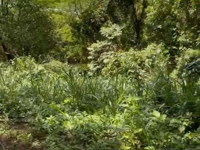 Terreno venda em Região Geográfica Imediata do Rio de Janeiro, Mangaratiba