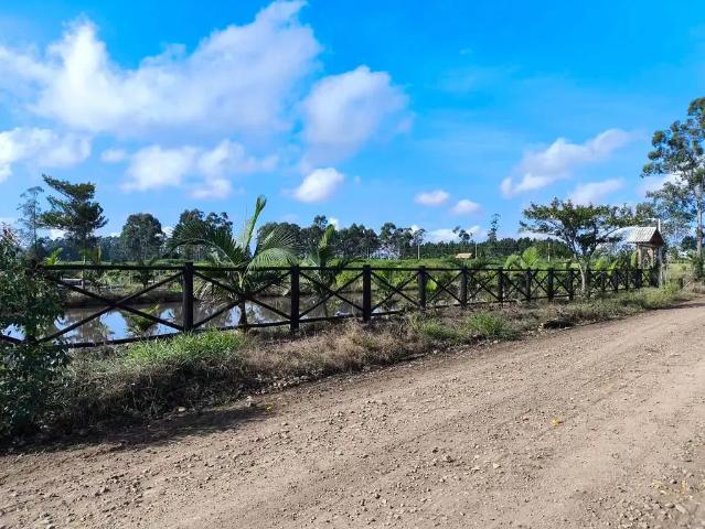 Terreno venda em Região Geográfica Imediata de Araranguá, Maracajá