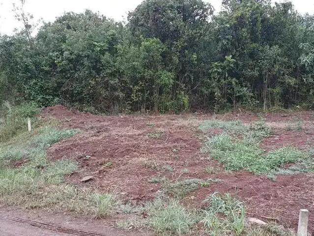 Terreno venda em Região Geográfica Imediata de Montenegro, Maratá