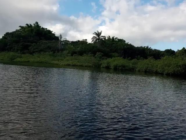 Terreno venda em Região Geográfica Imediata de Ilhéus – Itabuna, Marau
